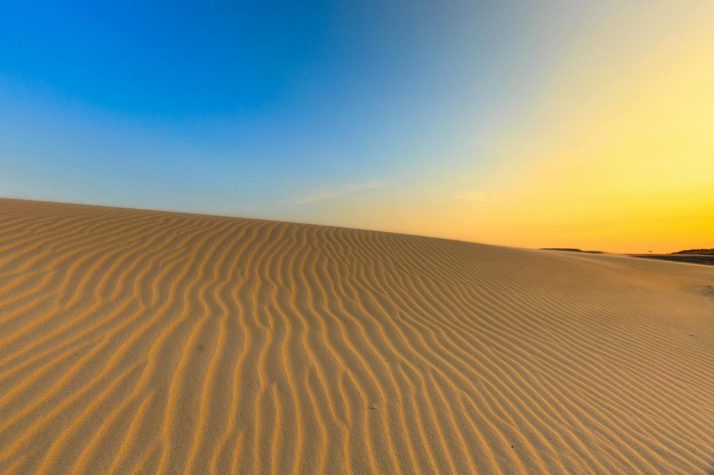 Desert Adventures- Sand Dunes Exploration