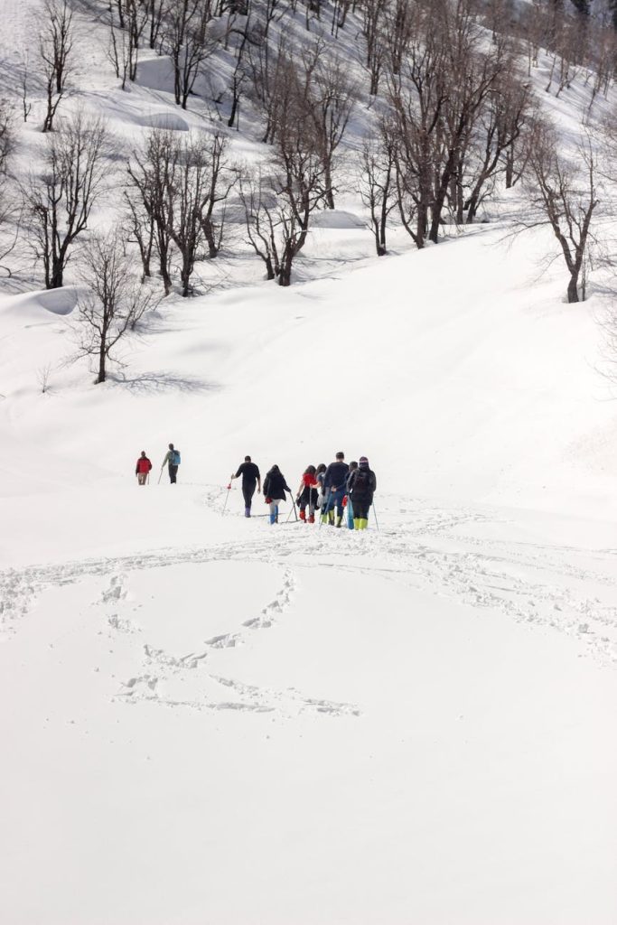 Trek Across Snow-Covered Landscapes